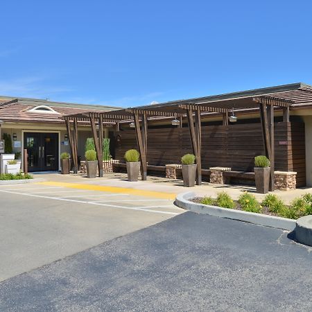 Holiday Inn Express Mill Valley San Francisco Area By Ihg Экстерьер фото