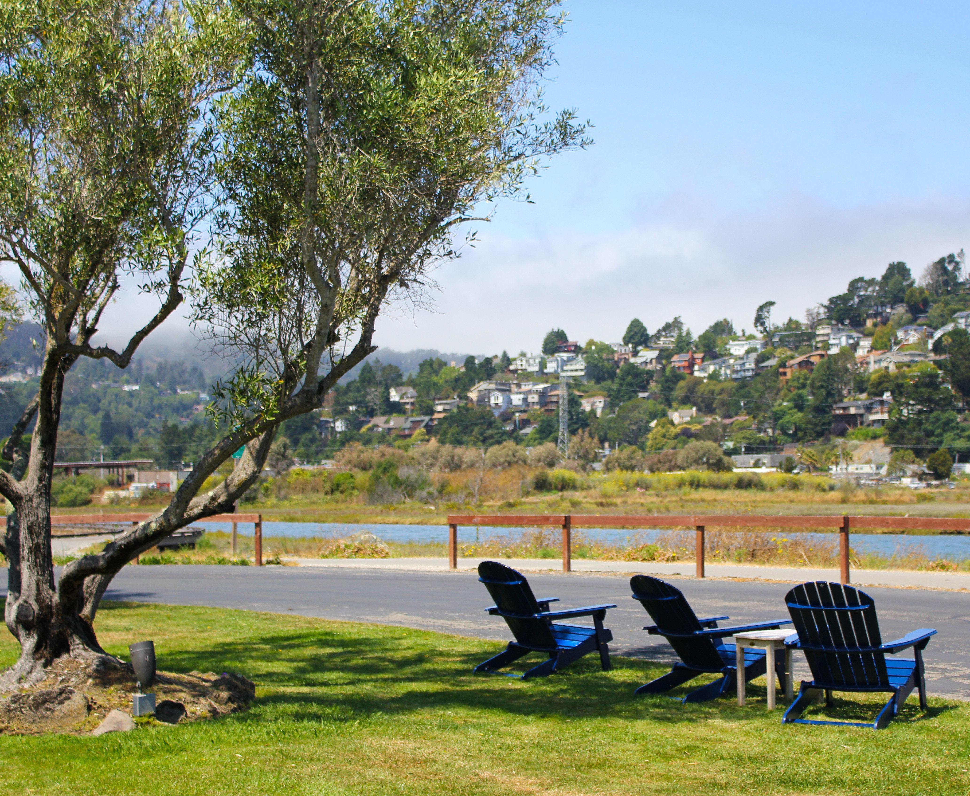 Holiday Inn Express Mill Valley San Francisco Area By Ihg Экстерьер фото